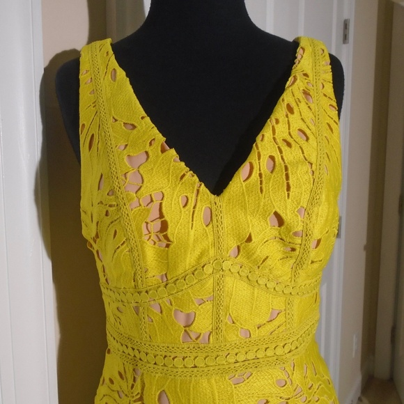 ANTHRO MAEVE Gardenia Lace Column Sheath Dress 4 - Picture 4 of 9
